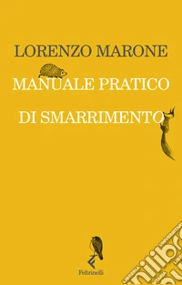 Manuale pratico di smarrimento libro