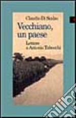 Vecchiano, un paese. Lettere a Antonio Tabucchi