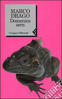 Domenica sera libro