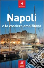 Napoli e la costiera amalfitana libro