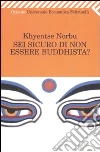 Sei sicuro di non essere buddhista? libro