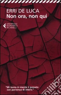 Non ora, non qui libro