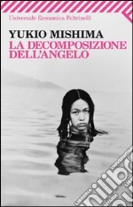 La decomposizione dell'angelo libro