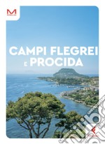 Campi Flegrei e Procida libro