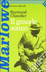 Il grande sonno libro