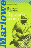 Il grande sonno libro