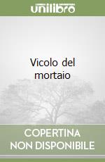 Vicolo del mortaio libro