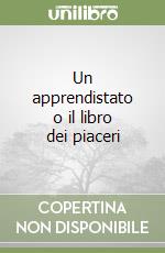 Un apprendistato o il libro dei piaceri libro