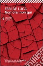 Non ora, non qui libro