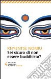 Sei sicuro di non essere buddhista? libro