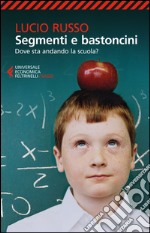 Segmenti e bastoncini. Dove sta andando la scuola? libro