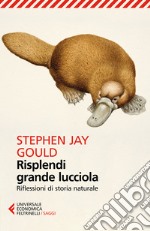 Risplendi grande lucciola. Riflessioni di storia naturale libro