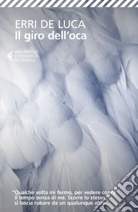 Il giro dell'oca