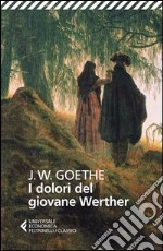 I dolori del giovane Werther libro usato