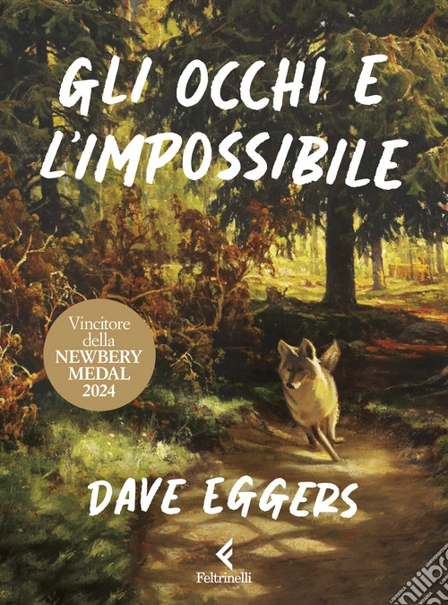 Gli occhi e l'impossibile. Ediz. a colori