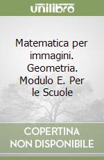 Matematica per immagini. Geometria. Modulo E. Per le Scuole libro