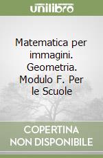 Matematica per immagini. Geometria. Modulo F. Per le Scuole libro