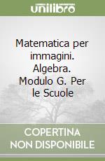 Matematica per immagini. Algebra. Modulo G. Per le Scuole libro