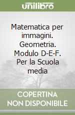 Matematica per immagini. Geometria. Modulo D-E-F. Per la Scuola media libro