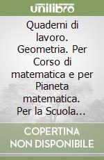 Quaderni di lavoro. Geometria. Per Corso di matematica e per Pianeta matematica. Per la Scuola media libro