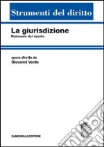 La giurisdizione. Dizionario del riparto libro