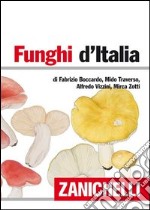 Funghi d'Italia libro