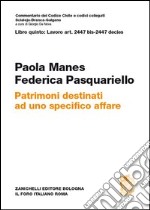 Patrimoni destinati ad uno specifico affare. Artt. 2447 bis-2447 decies libro