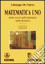 Matematica uno. Primo corso di analisi matematica. Teoria ed esercizi. Per le Scuole superiori libro