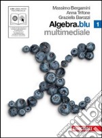 Algebra. Blu. Per le Scuole superiori. Con CD-ROM. Con DVD. Con espansione online. Vol. 1 libro