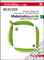 Matematica.verde. Algebra. Geometria. Statistica. Per le Scuole superiori. Con espansione online. Vol. 1