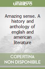 Amazing sense. A history and anthology of english and american literature libro