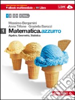 Matematica azzurro Vol. 1 libro usato
