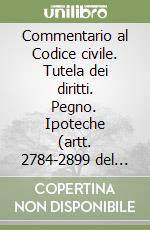 Commentario al Codice civile. Tutela dei diritti. Pegno. Ipoteche (artt. 2784-2899 del Cod. Civ.) libro