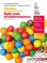 Chimica: concetti e modelli. Dalla mole all`elettrochimica. Per le Scuole superiori. Con Contenuto digitale (fornito elettronicamente) libro usato