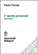 Il giusto processo libro