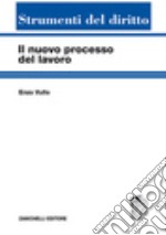 Il nuovo processo del lavoro libro