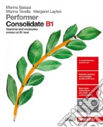PERFORMER CONSOLIDATE B1