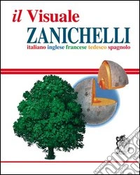 Il visuale Zanichelli. Italiano-inglese-francese-tedesco-spagnolo libro