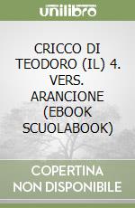 CRICCO DI TEODORO (IL) 4. VERS. ARANCIONE (EBOOK SCUOLABOOK) libro