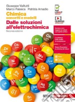 Chimica: concetti e modelli. Dalle soluzioni all'elettrochimica. Per le Scuole superiori. Con e-book. Con espansione online libro usato