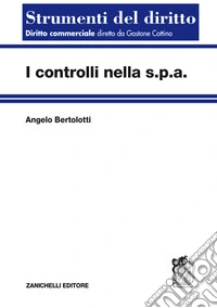 I controlli nella s.p.a.