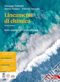 Lineamenti di chimica. Dalla materia all'elettrochimica. Per le Scuole superiori libro