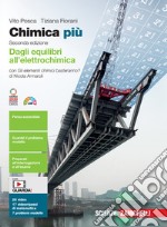 Chimica più. Dagli equilibri all'elettrochimica. Con Gli elementi chimici basteranno? Per le Scuole superiori. Con e-book. Con espansione online libro