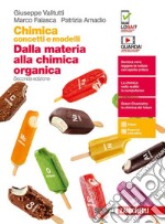 Chimica: concetti e modelli. Dalla materia alla chimica organica. Per le Scuole superiori. Con e-book. Con espansione online libro usato