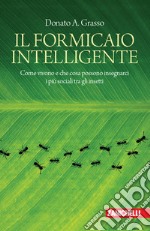 Il formicaio intelligente. Come vivono e che cosa possono insegnarci i più sociali tra gli insetti libro