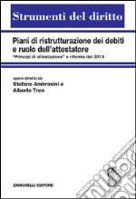 Piani di ristrutturazione dei debiti e ruolo dell'attestatore. «Principi di attestazione' e riforma del 2015 libro