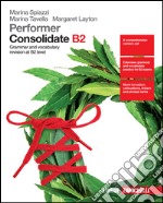 Performer Consolidate B2