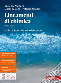 Lineamenti di chimica. Dalla mole alla chimica dei viventi. Per le Scuole superiori libro