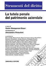 La tutela penale del patrimonio aziendale. Rilevanza penale degli asset intangibili e strumenti di tutela. Volume unico libro