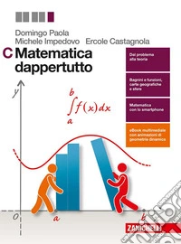 Matematica dappertutto. Per le Scuole superiori. Con Contenuto digitale (fornito elettronicamente) libro